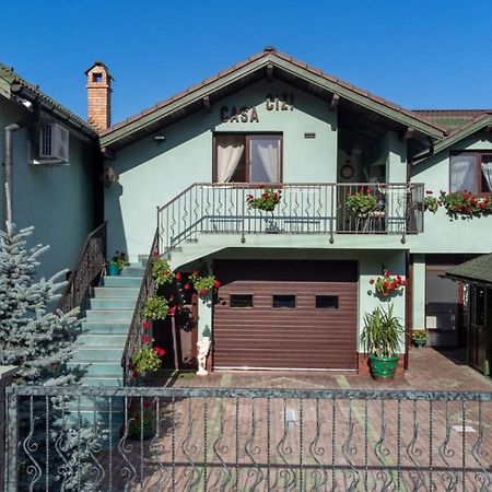 Casa Cizi Hotel Calimanesti Exterior photo