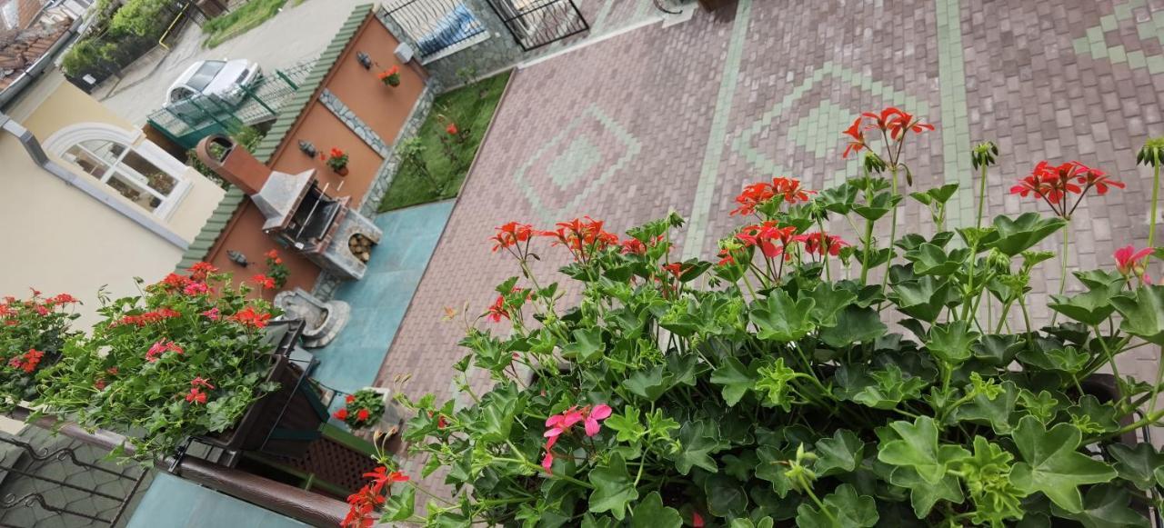 Casa Cizi Hotel Calimanesti Exterior photo